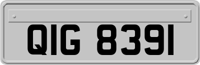 QIG8391