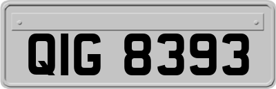 QIG8393