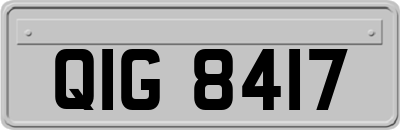 QIG8417