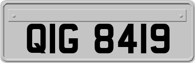 QIG8419