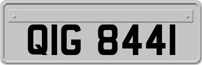 QIG8441