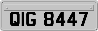 QIG8447