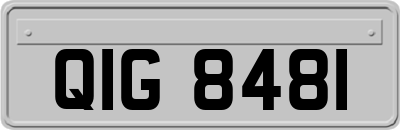 QIG8481