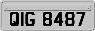 QIG8487
