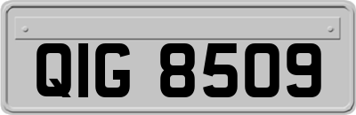 QIG8509