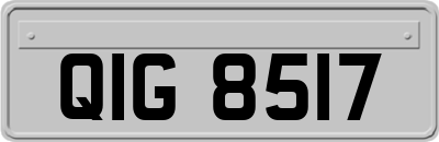 QIG8517