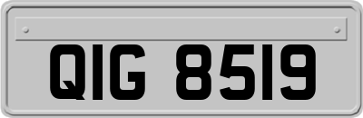 QIG8519