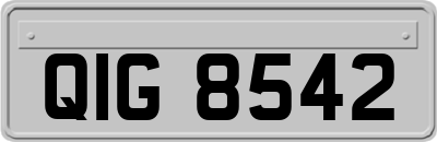 QIG8542