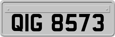 QIG8573