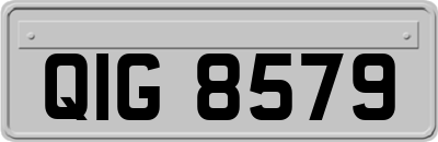 QIG8579