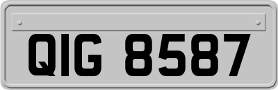 QIG8587