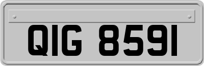 QIG8591