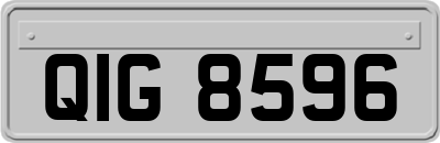 QIG8596