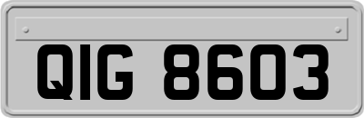 QIG8603