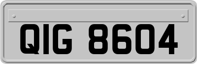 QIG8604