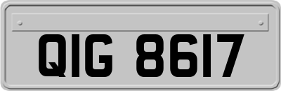 QIG8617