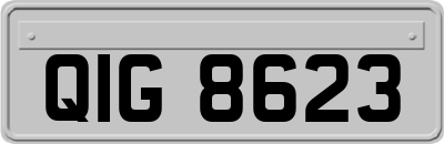 QIG8623