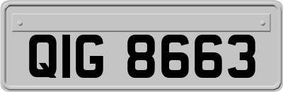 QIG8663