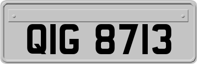 QIG8713