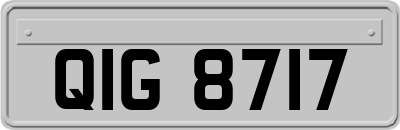 QIG8717