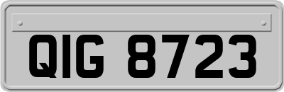 QIG8723