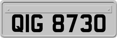 QIG8730