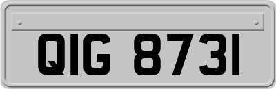 QIG8731