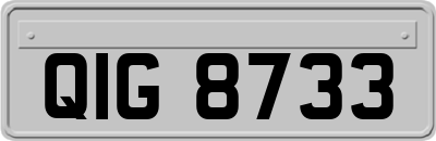 QIG8733