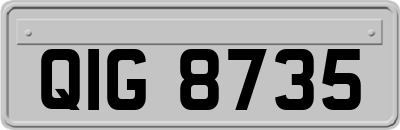 QIG8735