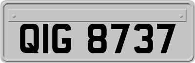QIG8737
