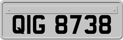 QIG8738