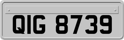 QIG8739