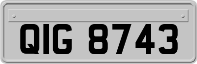 QIG8743