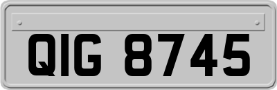 QIG8745