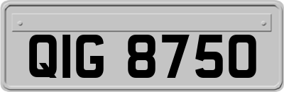 QIG8750