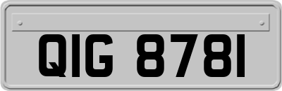 QIG8781