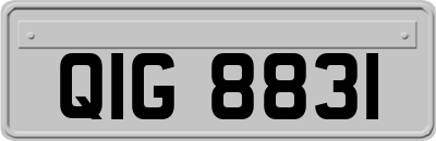 QIG8831