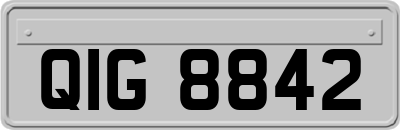 QIG8842
