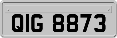 QIG8873