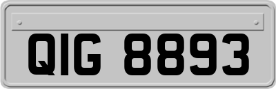QIG8893
