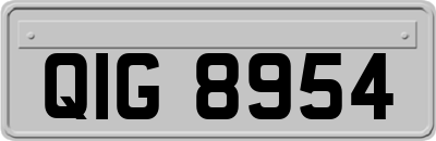 QIG8954