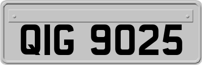 QIG9025