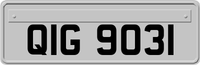QIG9031