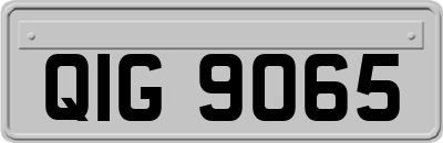 QIG9065