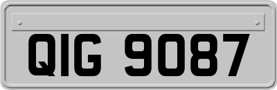 QIG9087