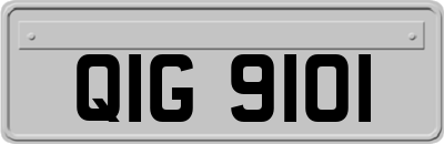 QIG9101