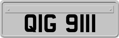 QIG9111