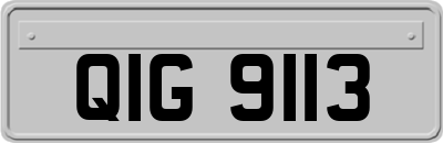 QIG9113