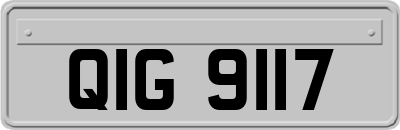 QIG9117