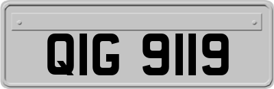 QIG9119